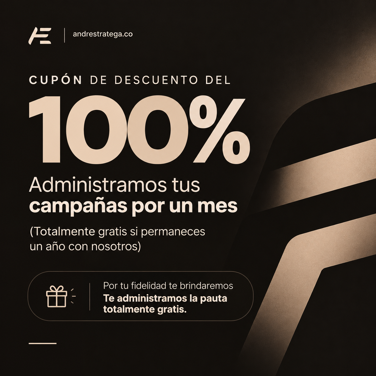 Administración mensual de campañas en Meta Ads - (50% OFF / primer mes).